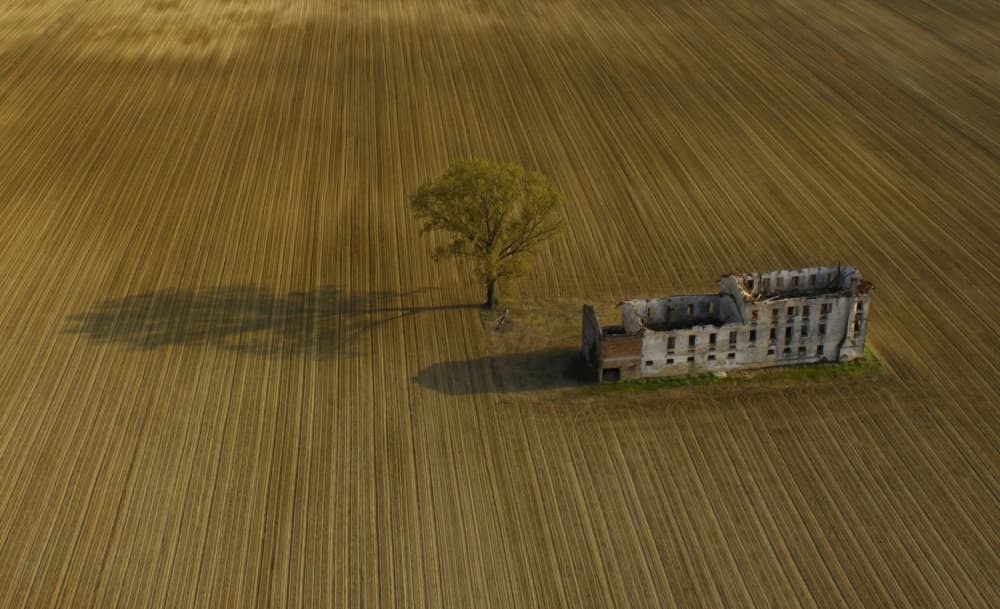 Lone Tree and Ruin by Stefan Miron — canvas wall art