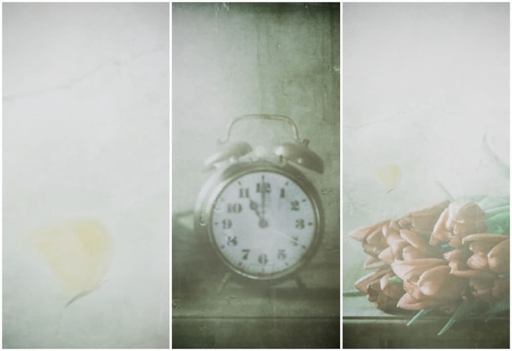 Soft Vintage Tulips and Time by Delphine Devos — canvas wall art