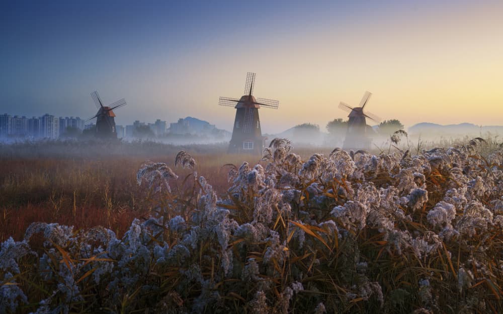 Misty Windmills At Dawn by Tiger Seo — canvas wall art