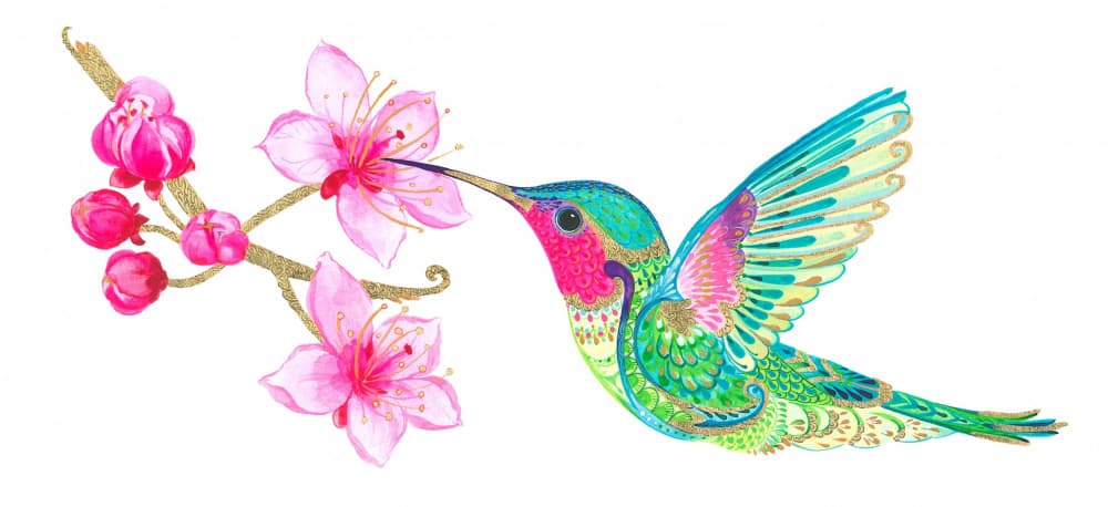 Hummingbird and Blossom by Isabelle Brent — canvas wall art