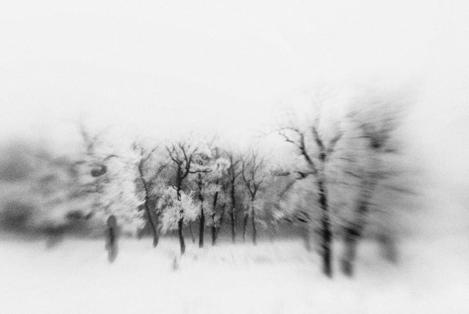 Dreamy Snowy Forest by Codrin Lupei — canvas wall art