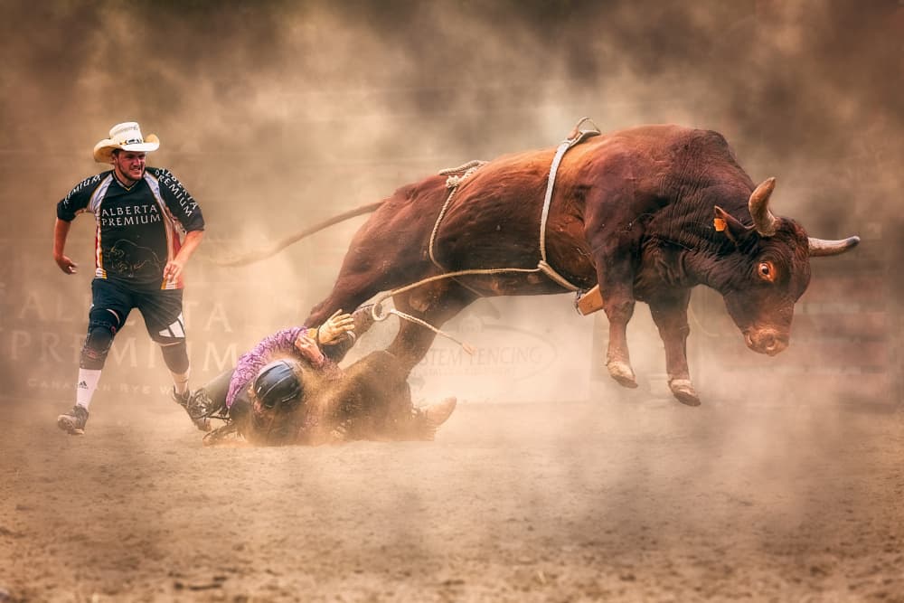 Rodeo Bull Thrill by Ben.C.L — canvas wall art