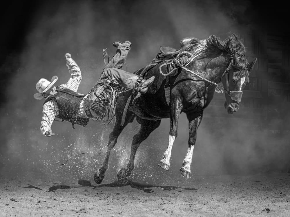 Falling Rodeo Cowboy by Frank Ma — canvas wall art