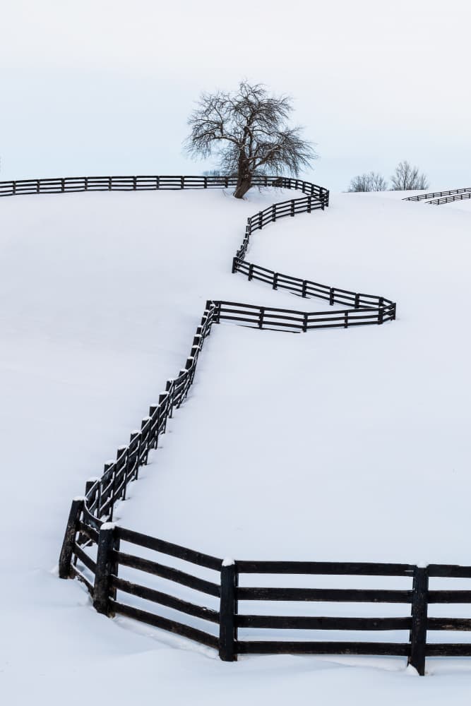 Winding Fence Winter Landscape by Steven Zhou — canvas wall art