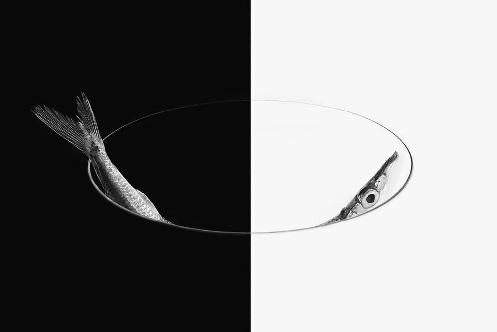 Yin Yang Fish by Teguh Yudhi Winarno — canvas wall art
