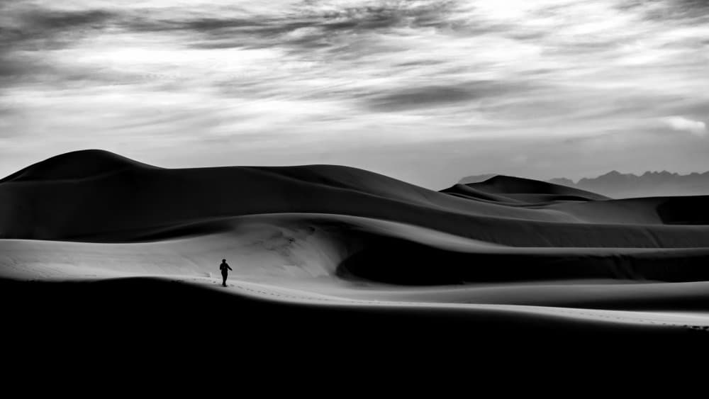 Solitary Desert Walk by Hamid Jamshidian — canvas wall art
