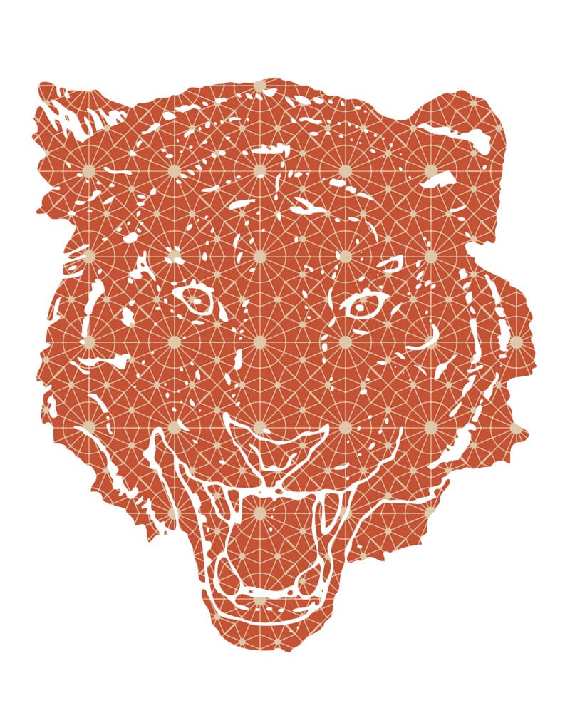 Geometric Tiger Roar by Emiliano Deificus — canvas wall art