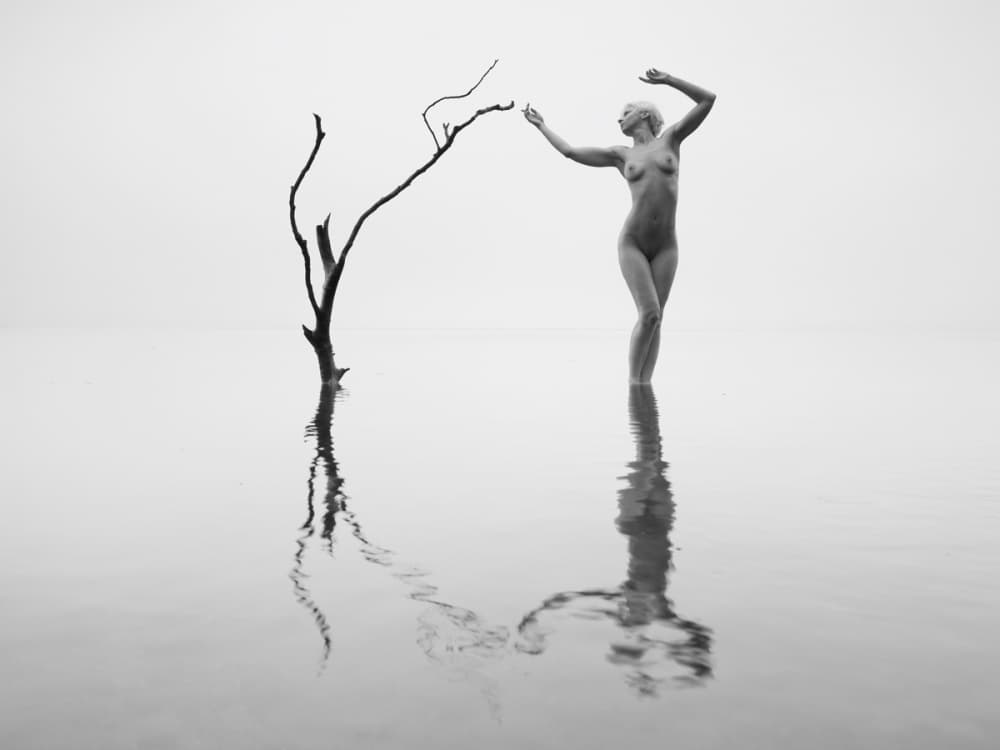 Graceful Form Nature by Leszek Paradowski — canvas wall art