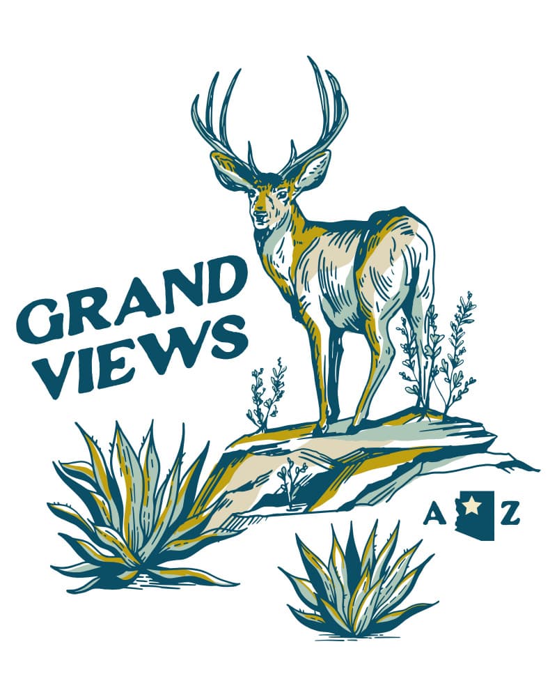 Grand Canyon National Park Arizona Travel Art by The Whiskey Ginger — canvas wall art