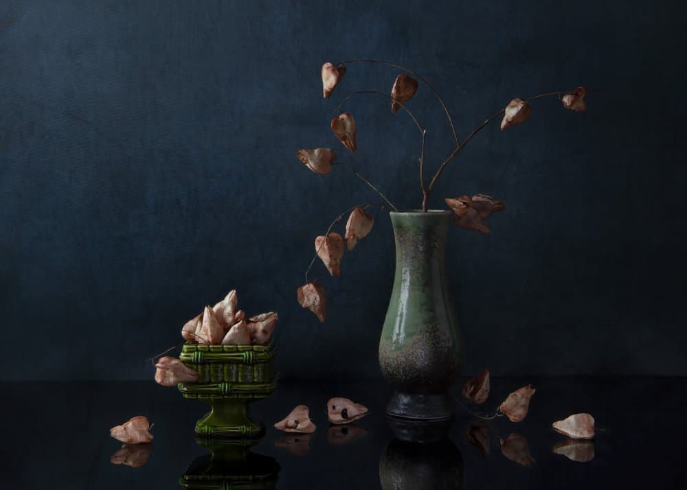 Dark Botanical Still Life by Ming Chen — canvas wall art