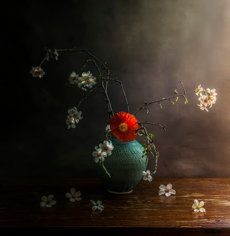 Moody Poppy Blossoms by Judy Tseng — canvas wall art