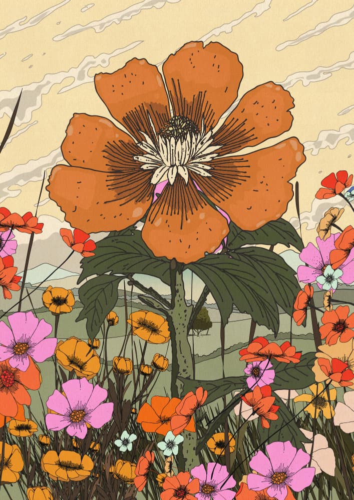 Vibrant Wildflower Bloom by Nicholas — canvas wall art