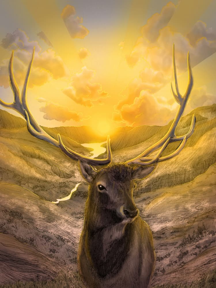 Majestic Elk Sunset by EC Mazur — canvas wall art