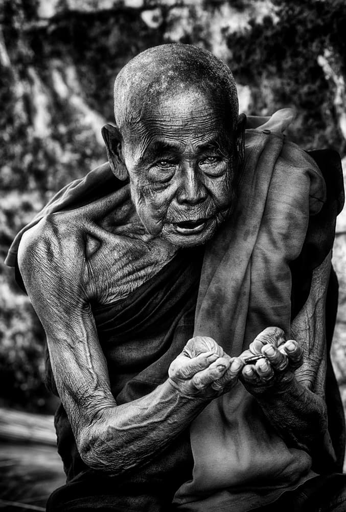Elderly Monk Portrait by Sergio Pandolfini — canvas wall art