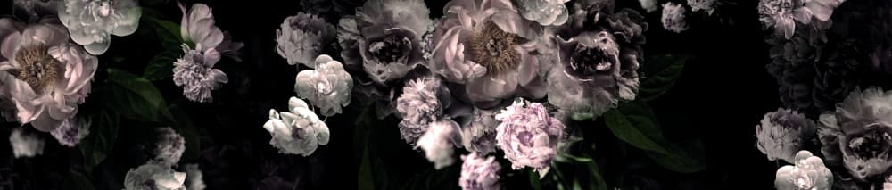 Elegant Dark Blooms by Hendon Lane — canvas wall art