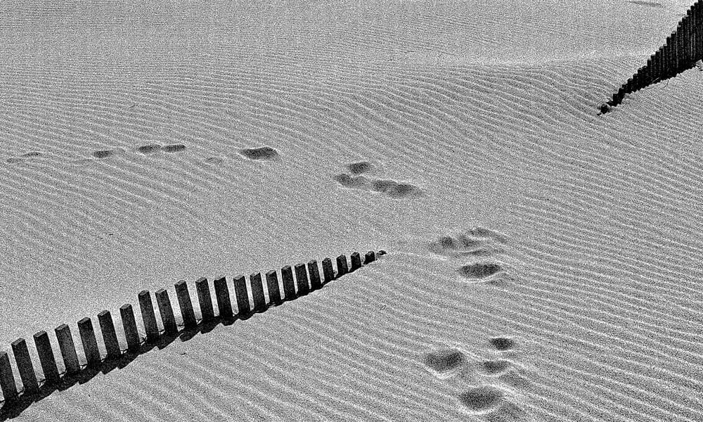 Footprints on Rippled Sand by Paulo Abrantes — canvas wall art