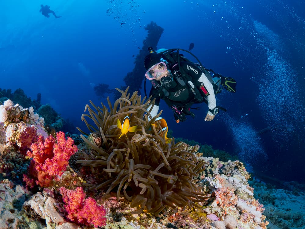Vibrant Underwater Adventure by Ilan Ben Tov — canvas wall art