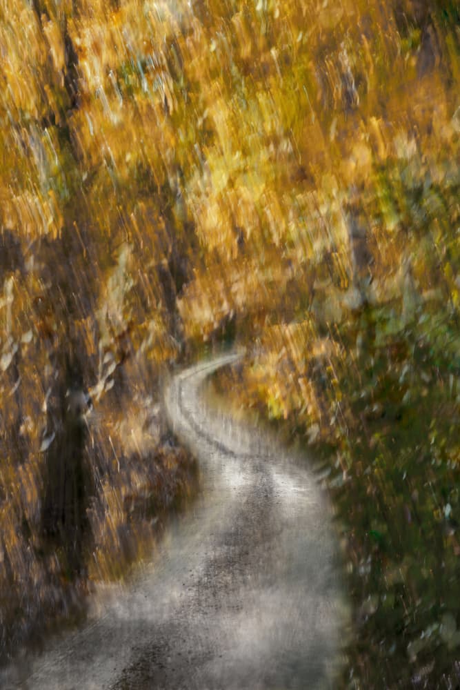 Winding Autumn Path by Christina Sillen — canvas wall art