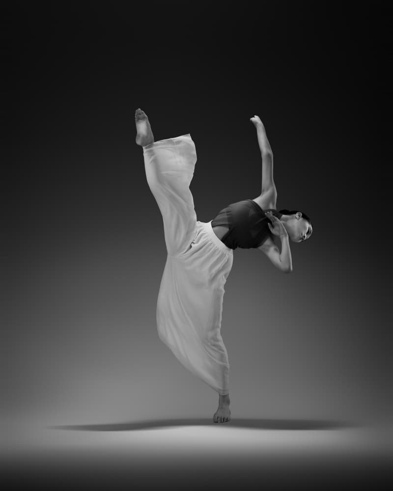 Elegant Dance Movement by Rob Li — canvas wall art