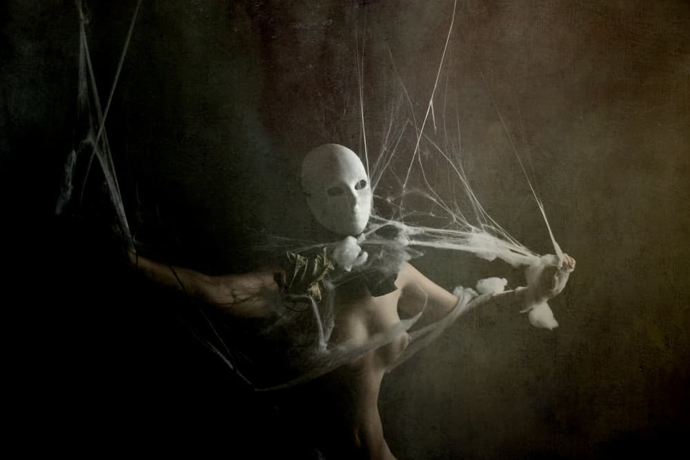 Trapped In Webs by Olga Mest — canvas wall art