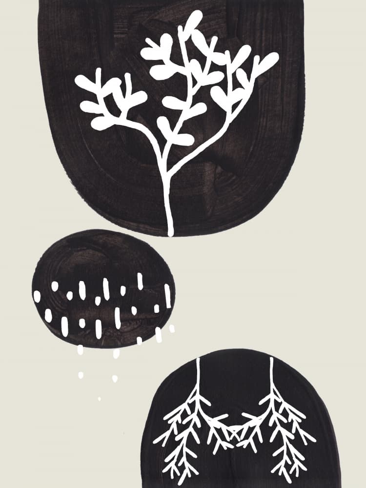 Organic Botanical Forms by Ejaaz Haniff — canvas wall art