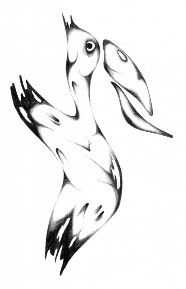 Abstract Pelican Drawing by Kulik — canvas wall art