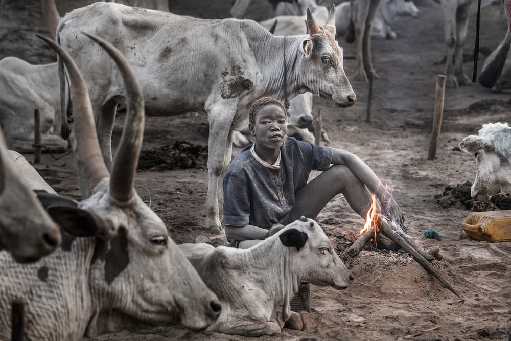 Boy with Cattle and Fire by Joxe Inazio Kuesta Garmendia — canvas wall art