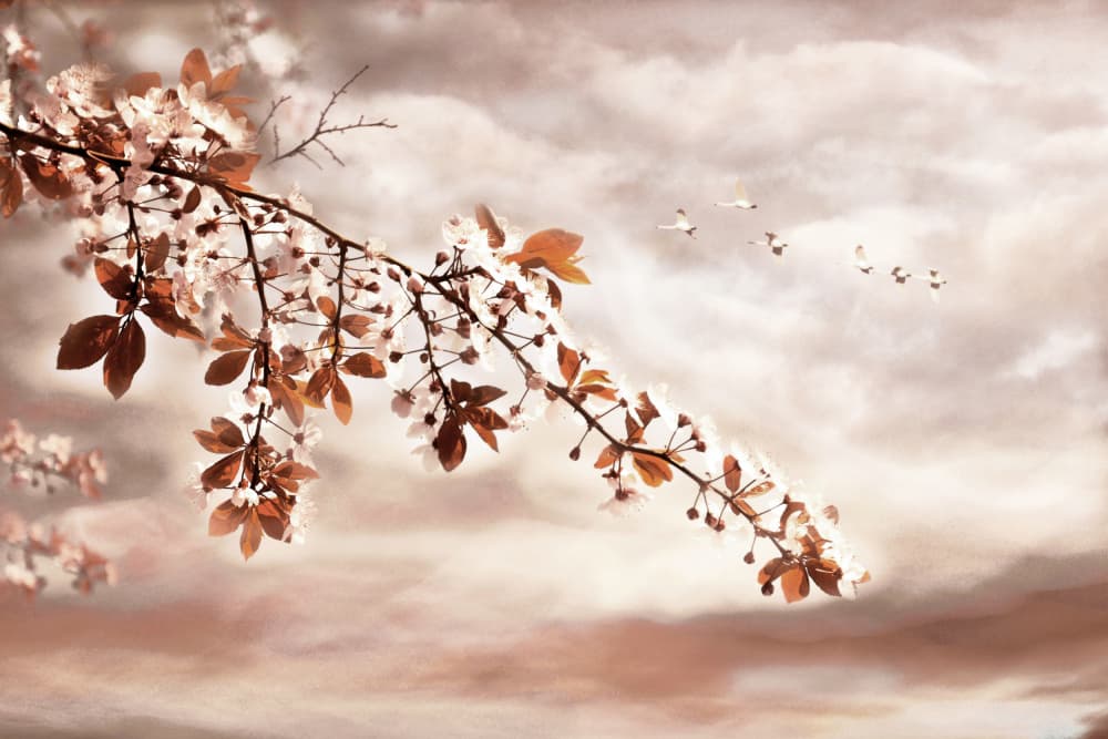 Spring Blossoms and Birds by Christina Sillen — canvas wall art