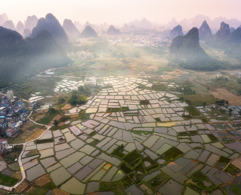 Misty Asian Rice Fields by Yuan Su — canvas wall art