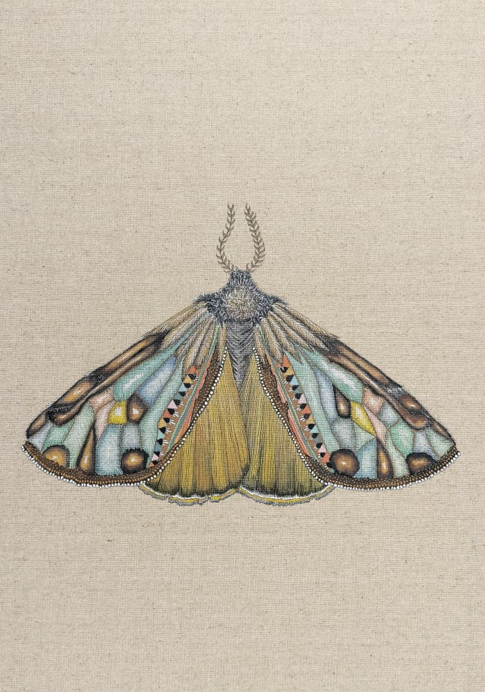 Colorful Bohemian Moth by ZAM.ROD — canvas wall art