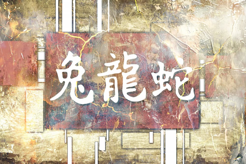 Aged Chinese Zodiac Calligraphy by Rafal Kulik — canvas wall art