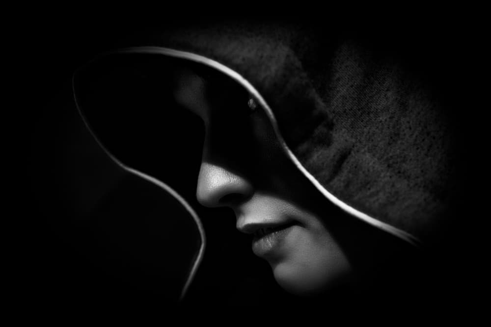 Hooded Mystery by Carmen Watkins — canvas wall art