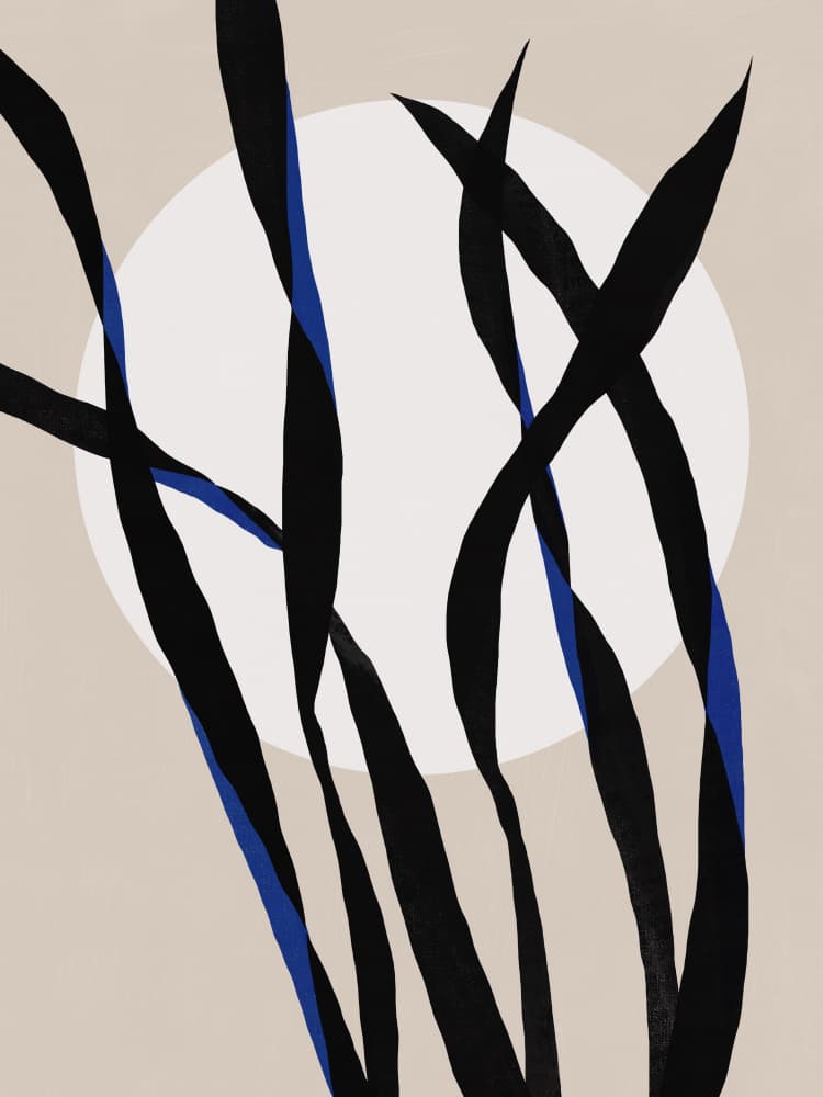 Black Reeds White Moon by Little Dean — canvas wall art