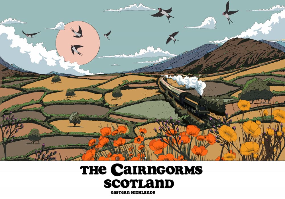 Cairngorms Steam Train Poppies by Nicholas — canvas wall art
