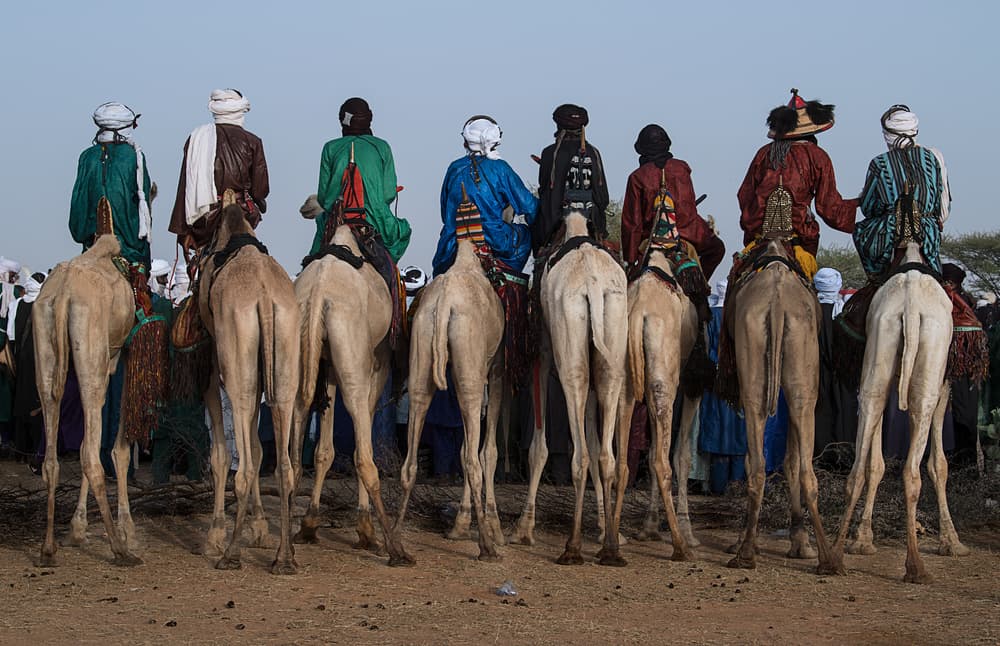 Desert Camel Caravan by Joxe Inazio Kuesta Garmendia — canvas wall art