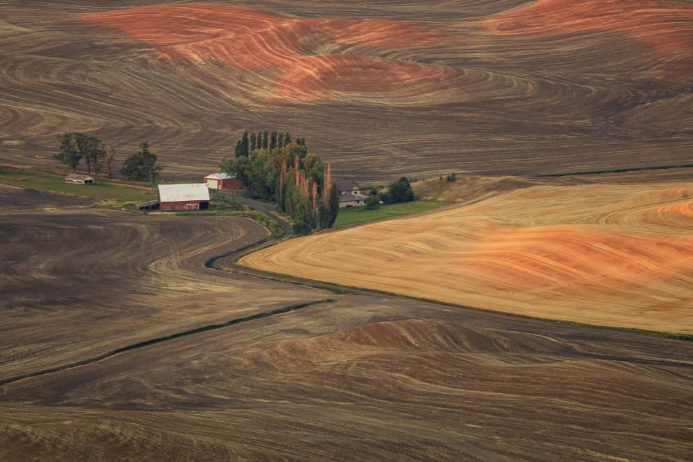 Golden Hour Farmland by Mei Shi — canvas wall art
