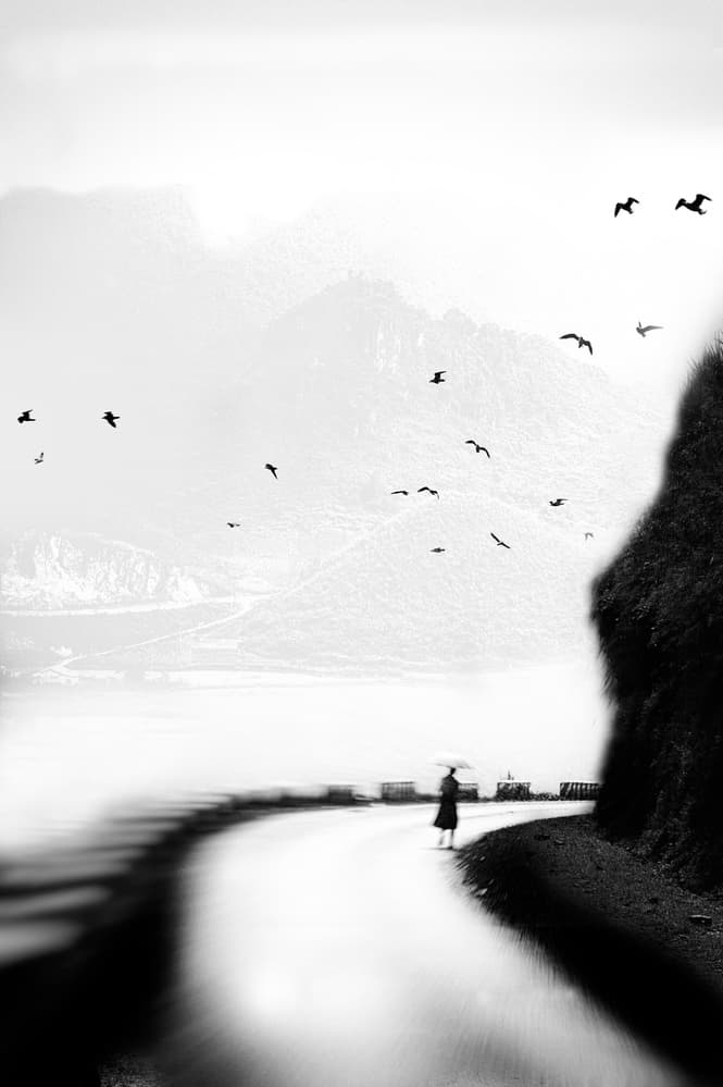 Misty Mountain Journey by Eric Drigny — canvas wall art