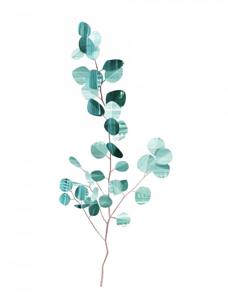 Eucalyptus by Goed Blauw — canvas wall art
