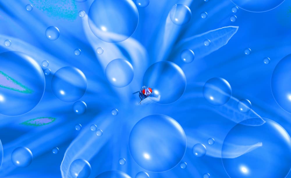 Blue Bug Water Drops by Thierry Dufour — canvas wall art