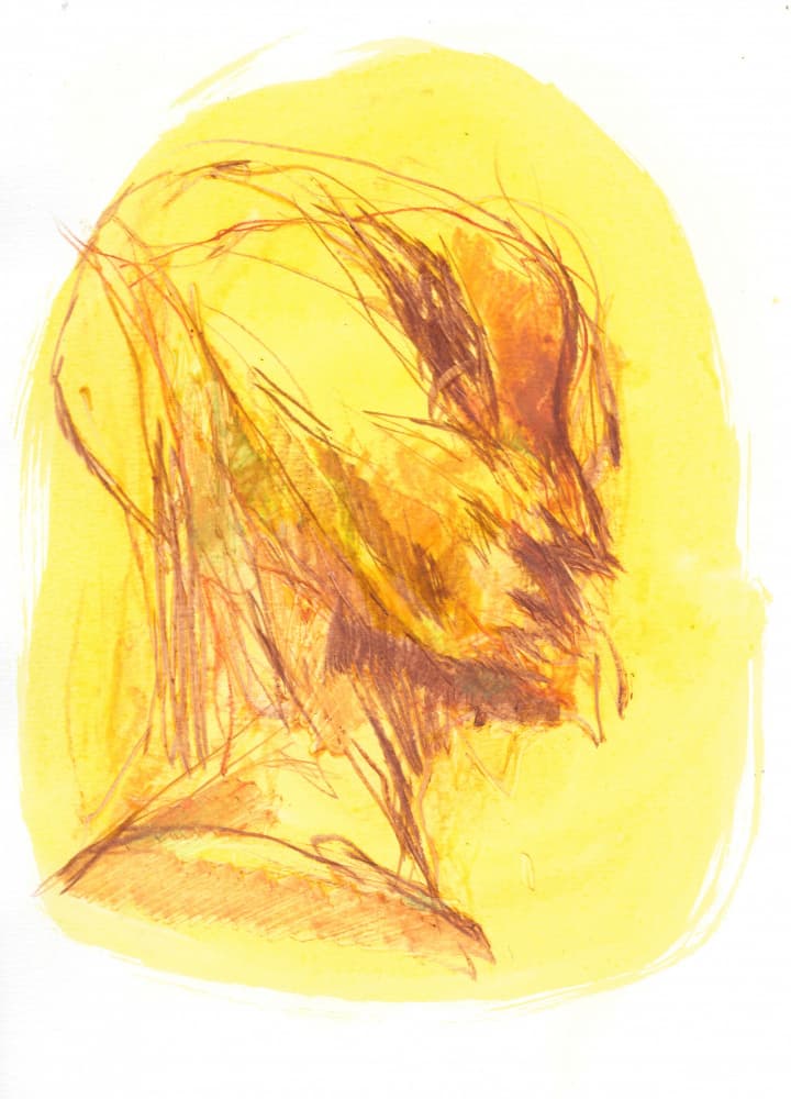 The Portrait 1 by Frederic Belaubre — canvas wall art