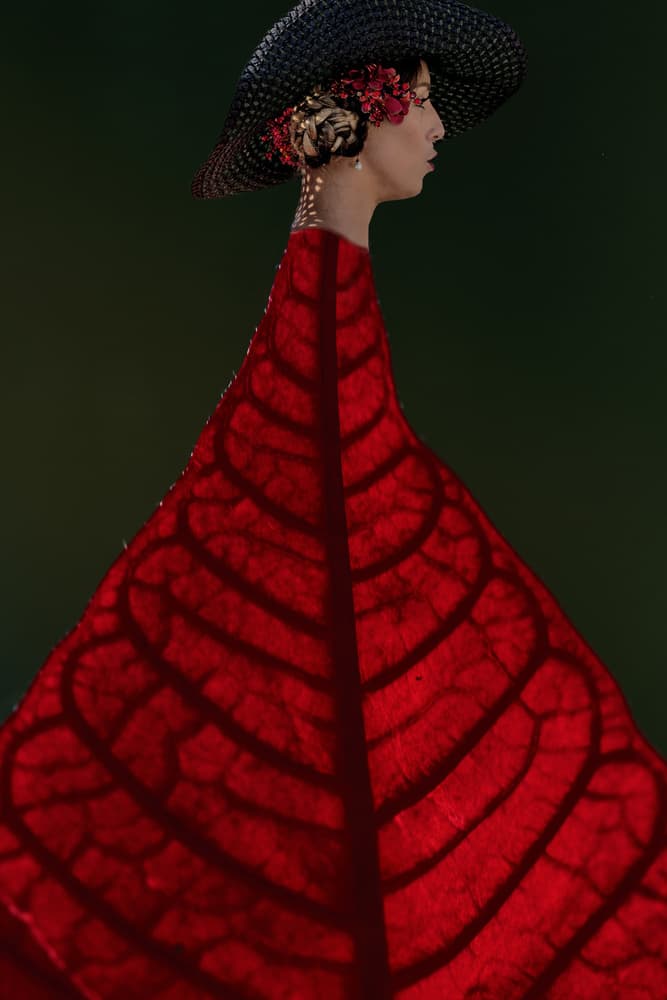 Elegant Red Leaf Profile by Jois Domont ( J.L.G.) — canvas wall art