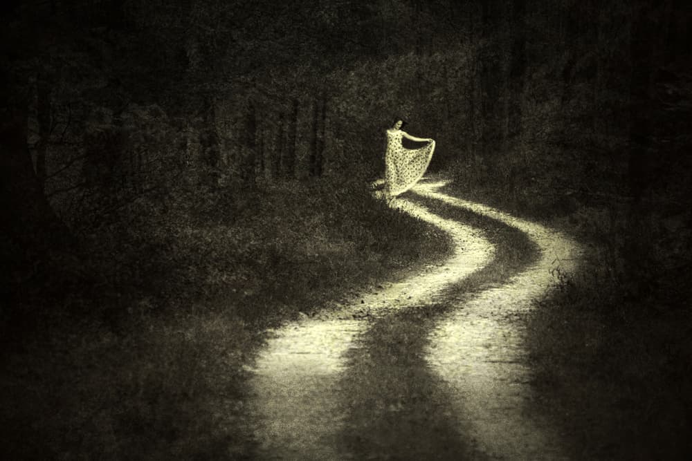 Mysterious Forest Dancer by Adela Lia Rusu — canvas wall art