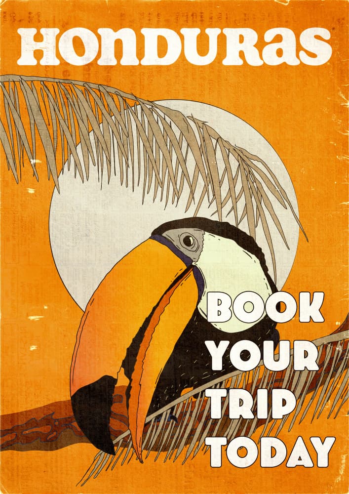 Honduras Toucan Travel by Nicholas — canvas wall art