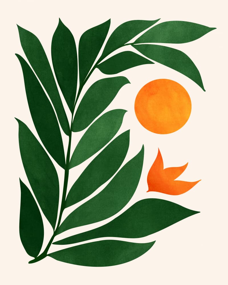 Tropical Forest Sunset by Kristian Gallagher — canvas wall art