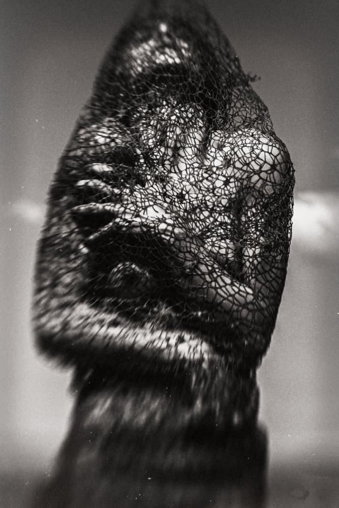 Dark Veiled Form by Bogdan Bouşcă — canvas wall art