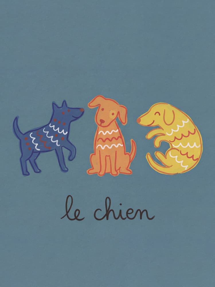 Happy Colorful Dogs by Andreas Magnusson — canvas wall art