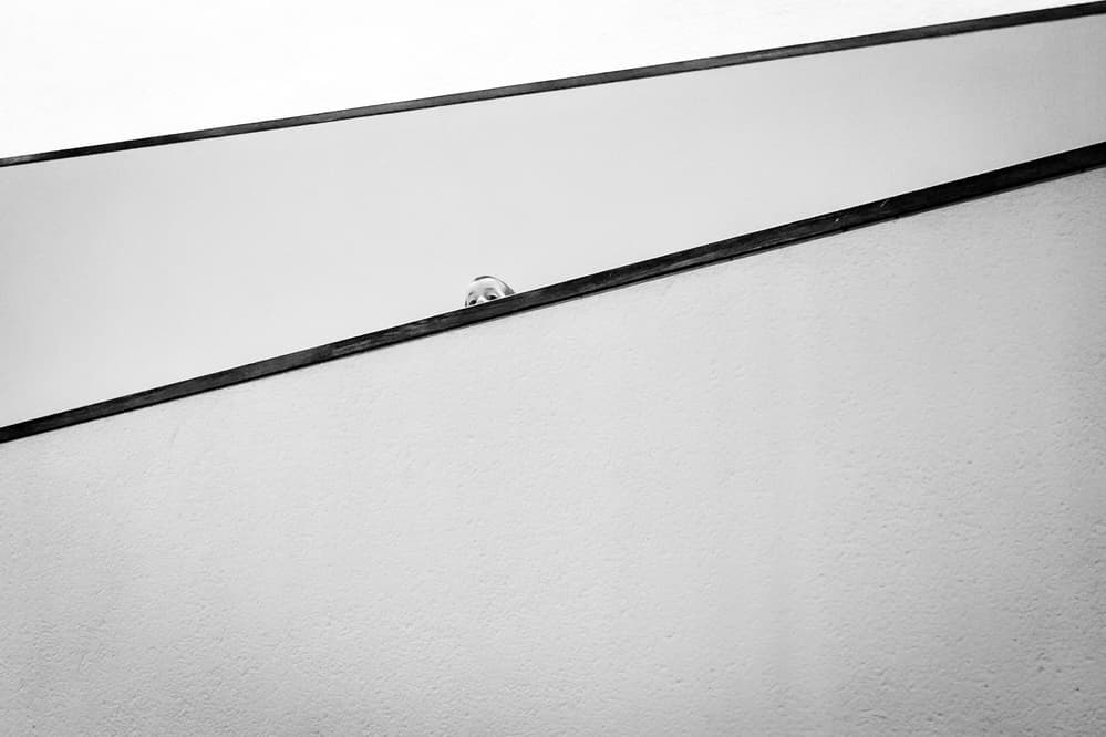 Curious Mirror Gaze by Tomer Eliash — canvas wall art