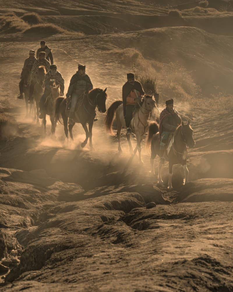 Dusty Morning Ride by Fira Mikael — canvas wall art
