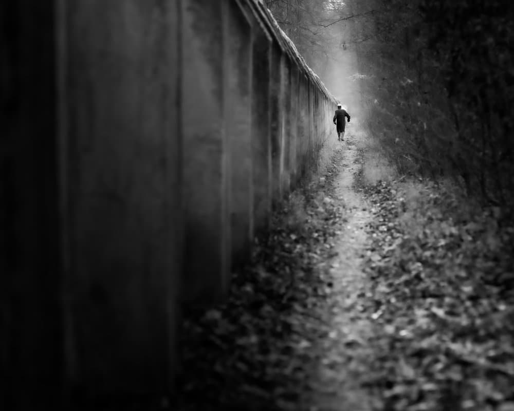 Misty Forest Path Runner by Andy Dauer — canvas wall art