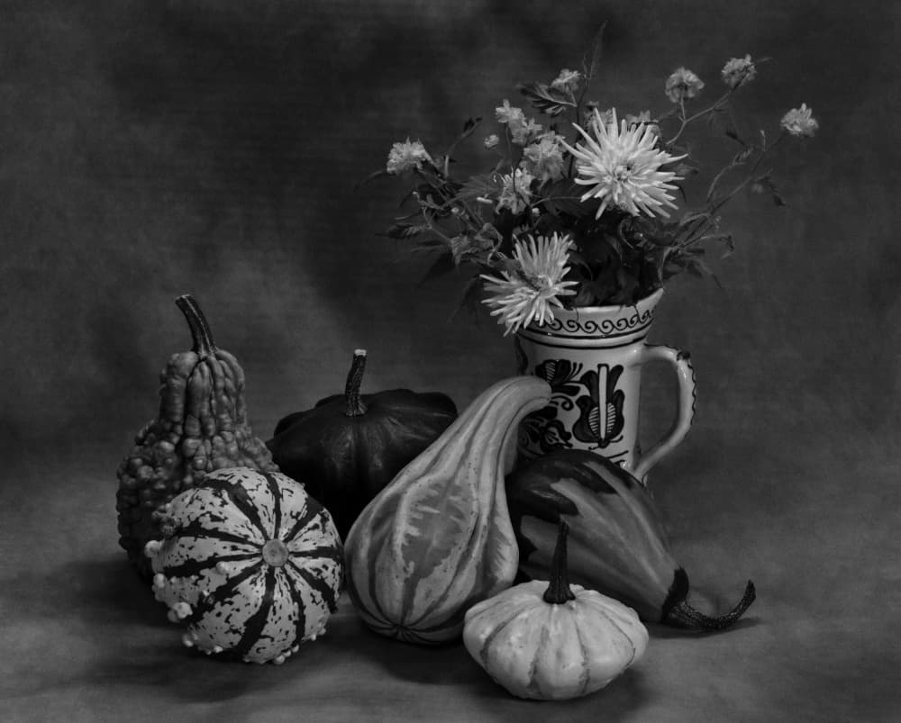 Harvest Gourds Still Life by Carmen Watkins — canvas wall art